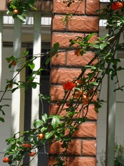 DF09242A-0330-4821-9B04-9157A0B0E818/L0/001