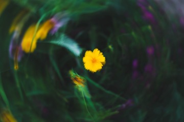D0234273-F0A5-41AA-8D3C-4980C0C44B8F/L0/001