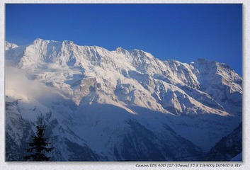 Swiss