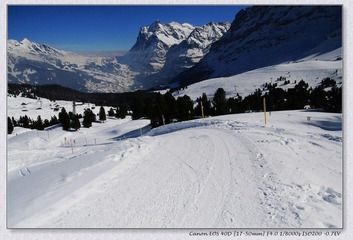 Swiss