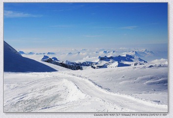 Swiss