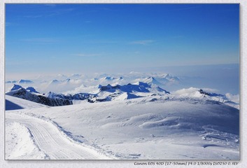 Swiss