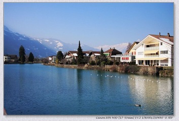 Swiss
