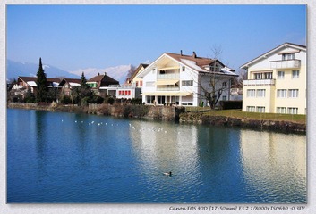 Swiss