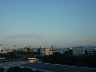 1817446