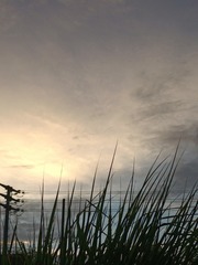 213662
