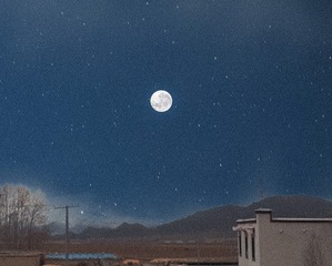 1121313