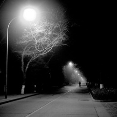 DSC_2289-01