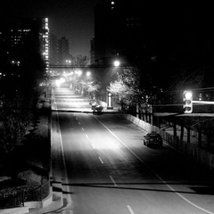 DSC_1551-02
