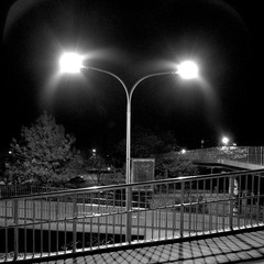 DSC_4967-03