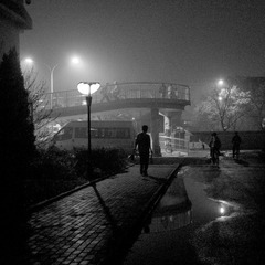 DSC_4408-01