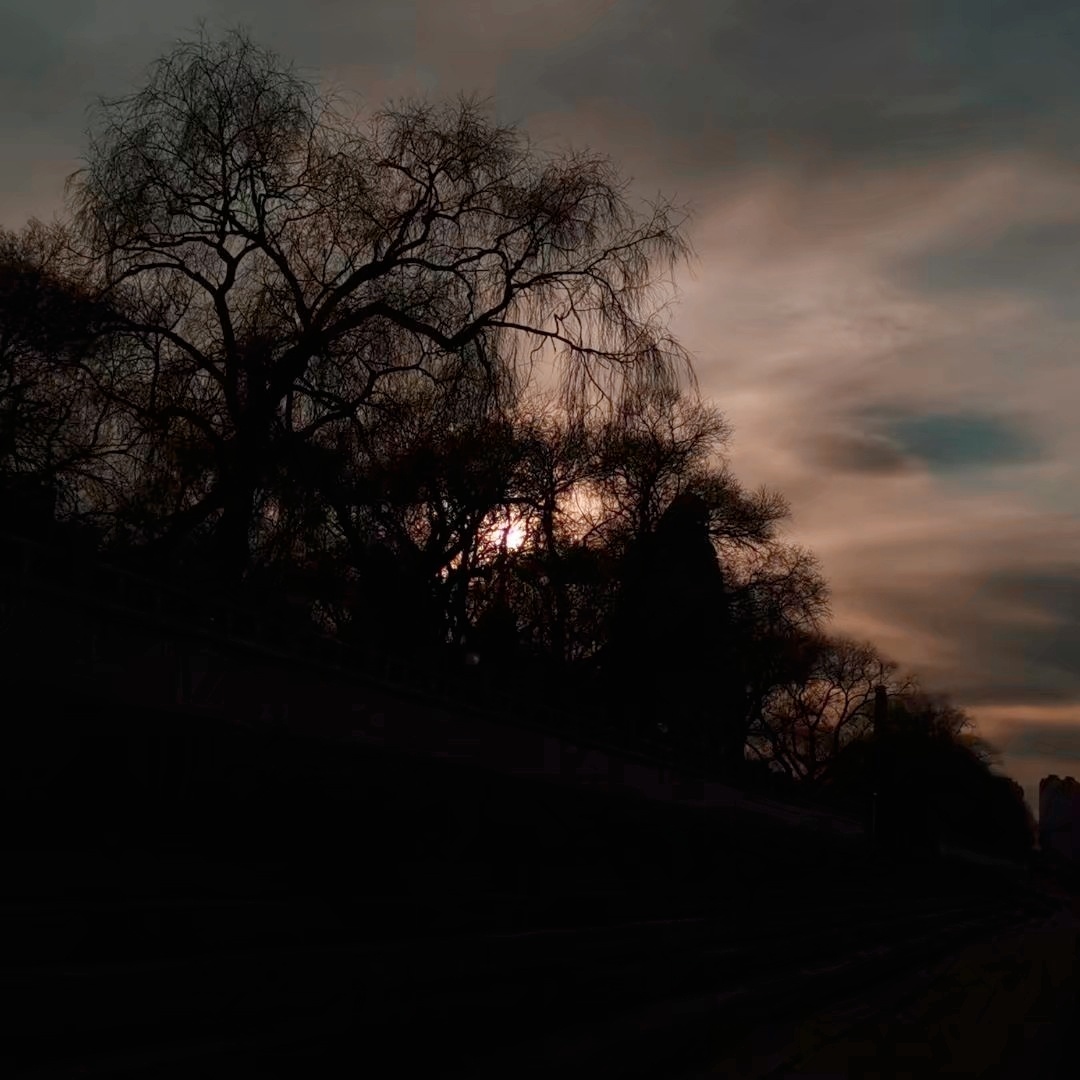 已经错过的风景就不要再打听了