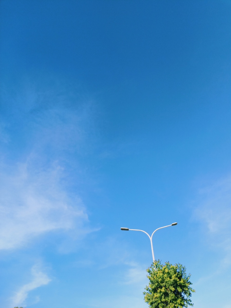 分享今日份干净天空79就很好看吖