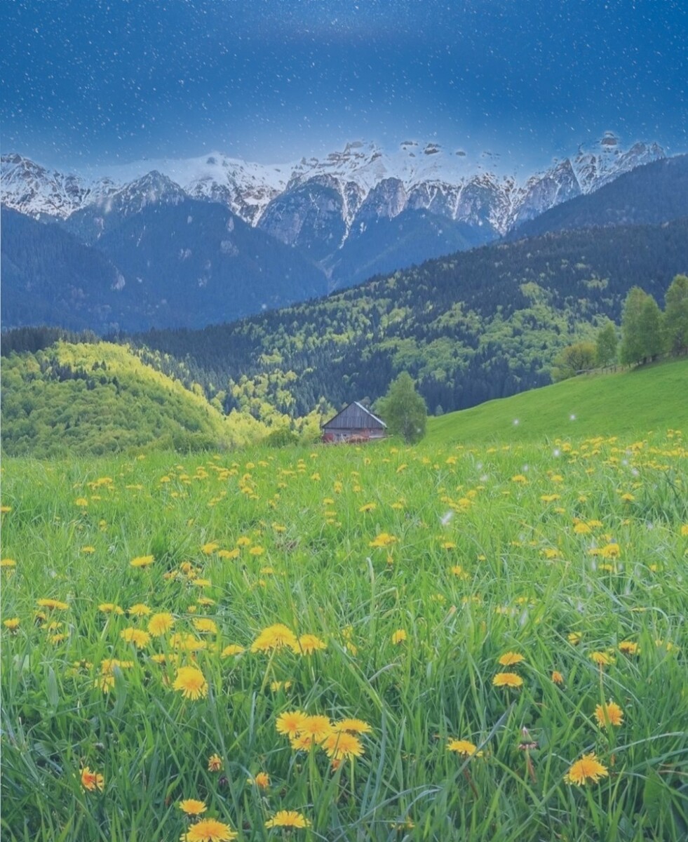 ξͼ,Ȼ