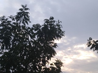 776481