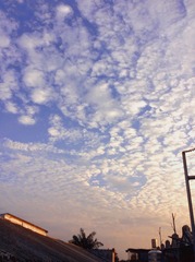 089803DC-516A-4D6B-92BF-518DC9A01848/L0/001