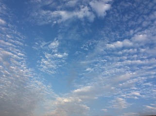 C8DD87F7-4EC3-43AD-8753-B68470063C40/L0/001