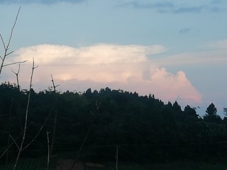 392850