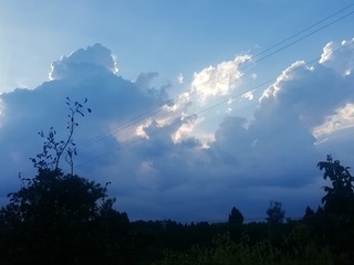 392835