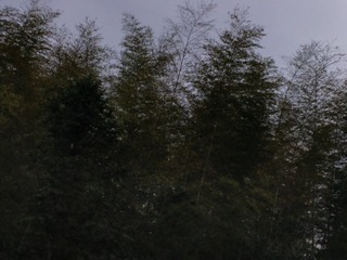 884103