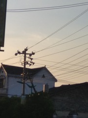 1079893