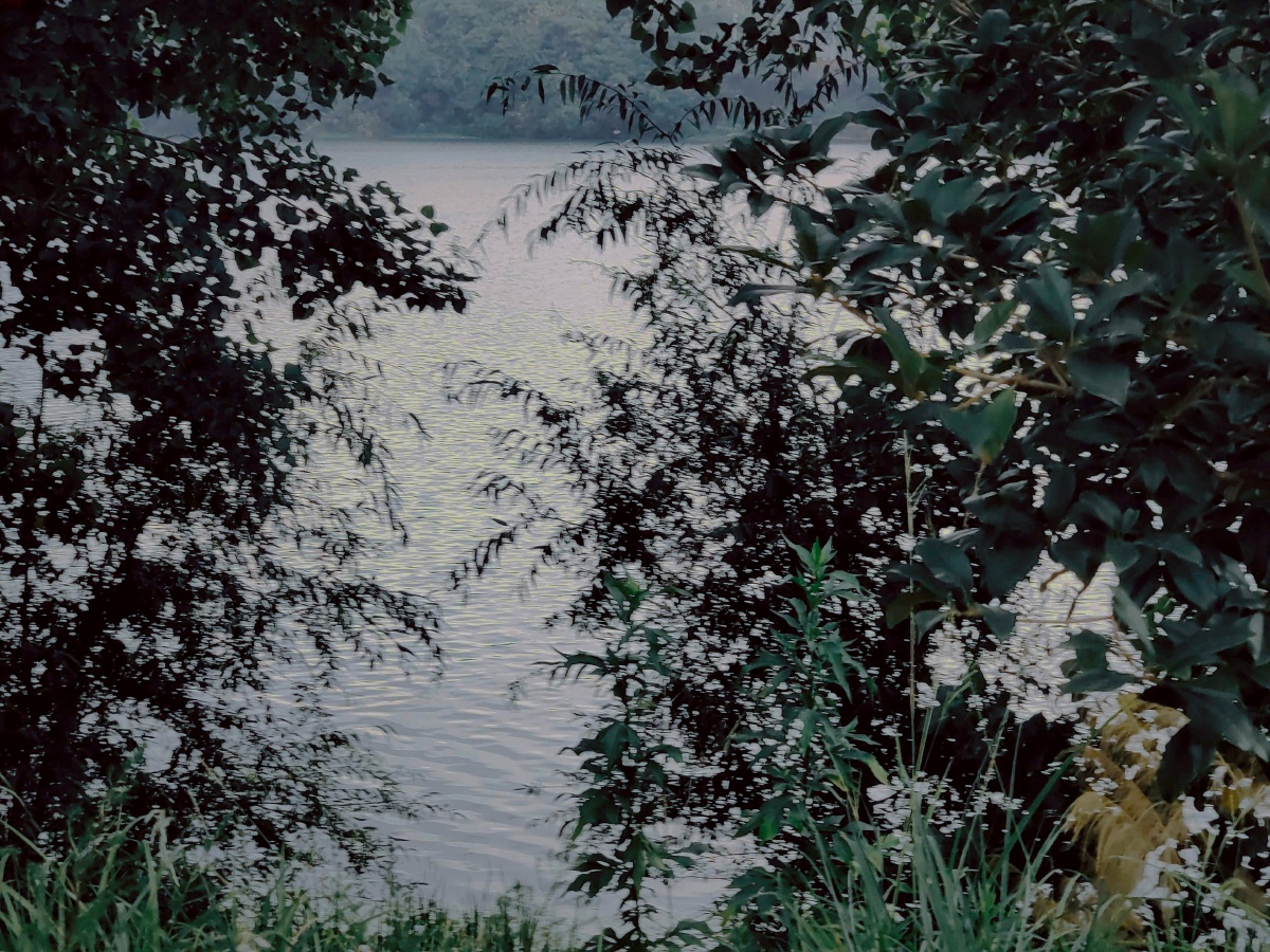 我看着湖面平平淡淡好像有只小船安安静静没人来打扰… - 凛凛蝶sama