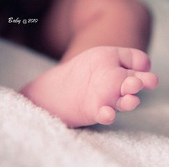 baby的小脚