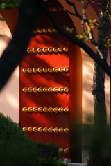 1000017618