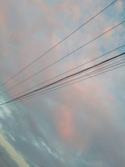 988259