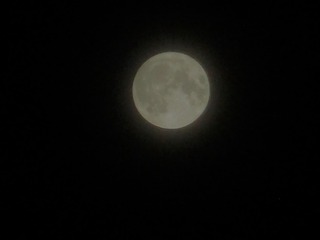 17F11DD9-9DF3-4012-90DD-E5D465F39426/L0/001