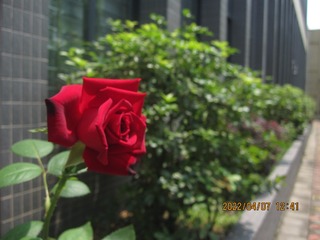646979C9-71C3-4E71-A97C-D7B331C3EE53/L0/001