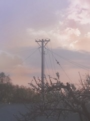961102