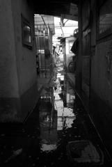 杨树浦路09