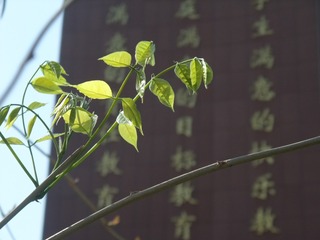 1307587