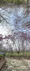 B4874239-1AFE-4A06-A143-D0614342BF20/L0/001