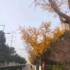 B45E65F3-FDCE-4A54-B9EA-FCA222BB6BC3/L0/001