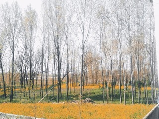 972840