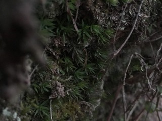 D39C6F75-4EFE-400C-ADE7-685B0B89C3BD/L0/001