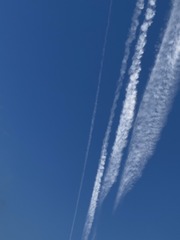 7B75E3A4-89FA-41B7-927F-44FA18557F67/L0/001