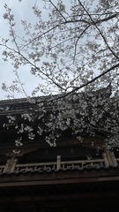 9F7B8EE8-BD5E-4473-BA27-D38357328460/L0/001