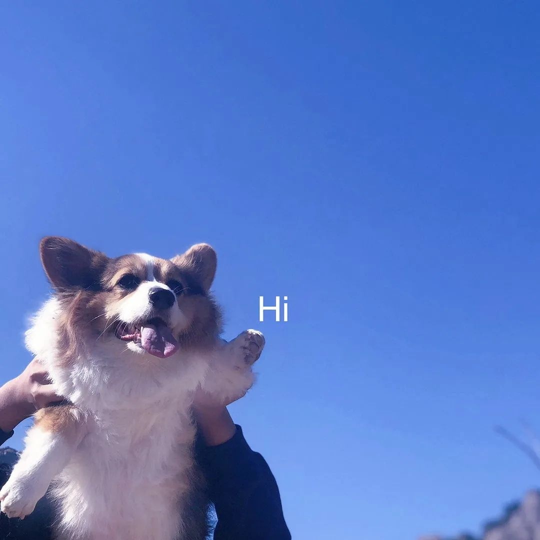 蓝色系头像配背景