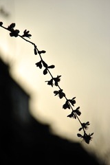 8CB01B3F-404B-4120-8CDB-19B3D9B16BC5/L0/001