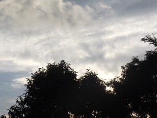 899007