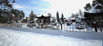 入冬第一场雪