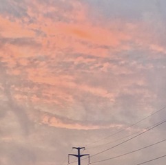 372C07A6-5122-4B97-8E1D-CD41350D7839/L0/001