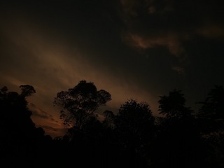 2644451