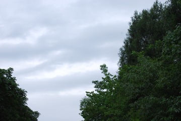 455361