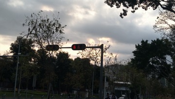 941239