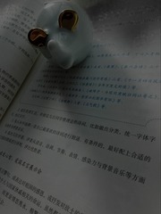 76541
