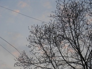 1306481